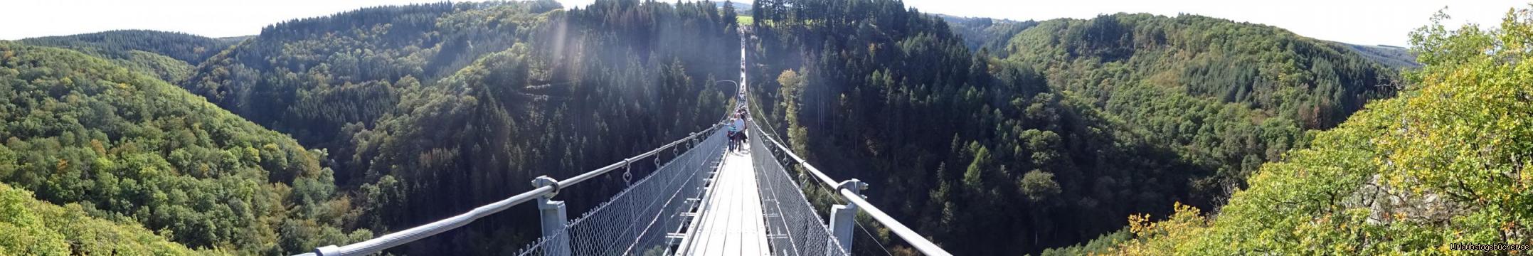 Tolle Rundumsicht von der Hängebrücke Geierlay: Tolle Rundumsicht von der Hängebrücke Geierlay