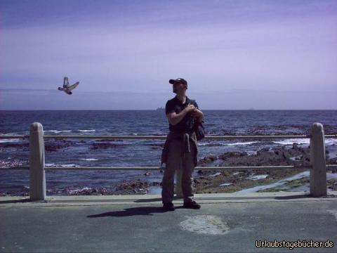 ich und Vogel: ich (und ein Vogel) in Kapstadt vor dem Atlantik