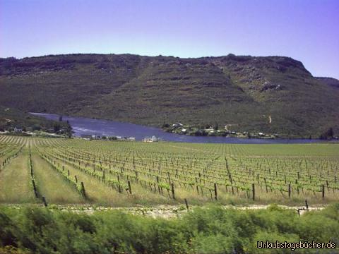 Weinanbaugebiet: die Weinanbaugebiete Südafrikas