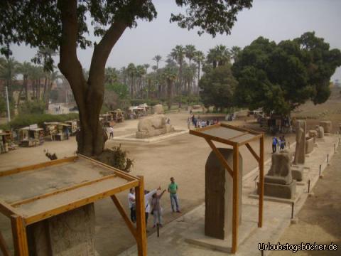 Freilichtmuseum: von der Museumshalle der Kolossalstatuen von Ramses II. aus
hat man einen schönen Blick über das Freilichtmuseum beim Dörfchen Mit Rahina
mit Ausstellungsstücken aus dem Tempel des Ptah in Memphis