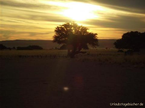 Sonne sinkt: uns erwartet wieder ein wunderschöner Sonnenuntergang über der Namib