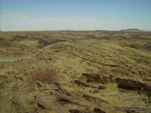 bizarre Hügel: bizarre Hügellandschaft in Namibia
(der kleine schwarz-weiße Punkt in der linken Bildhälfte ist übrigens Katy)