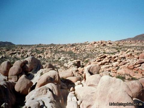 Felsenlandschaft: ein Blick über die skurrile Felsenlandschaft der Wüste
(übrigens, im Schatten in der Mitte steht unsere komplette Gruppe und ein winkender Höf)