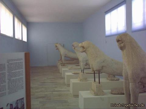 die echten Löwen: die echten Löwen der Löwenterrasse im Museum auf Delos