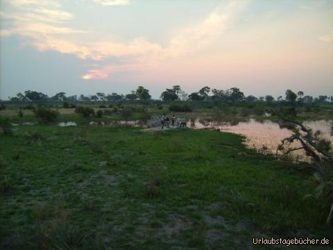 Safarispaziergang: unser kleiner Safarispaziergang im Okawango Delta