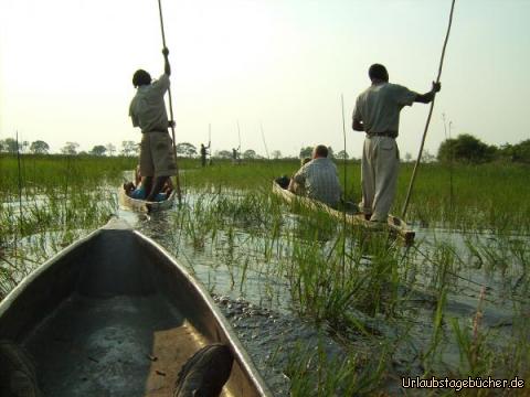 Fahrt mit Mokoros: unsere Fahrt mit den Mokoros durchs Okawango Delta