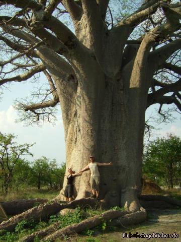 Affenbrotbaum: Katy und ich vor einem gigantischen Affenbrotbaum