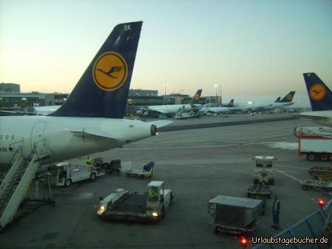 Flughafen Frankfurt: hohes Verkehrsaufkommen auf dem Flughafen von Frankfurt