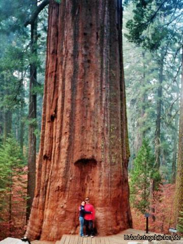 wir vorm Sequoia: Anja und ich vor einem Mammutbaum