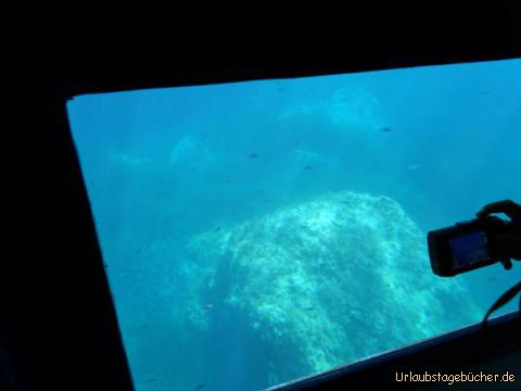Blick unter Wasser: Blick unter Wasser