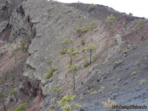 Vuilkanlandsschaft La Palma: Vuilkanlandsschaft La Palma