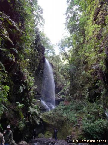 Wanderung zum Wasserfall Los Tilos: Wanderung zum Wasserfall Los Tilos