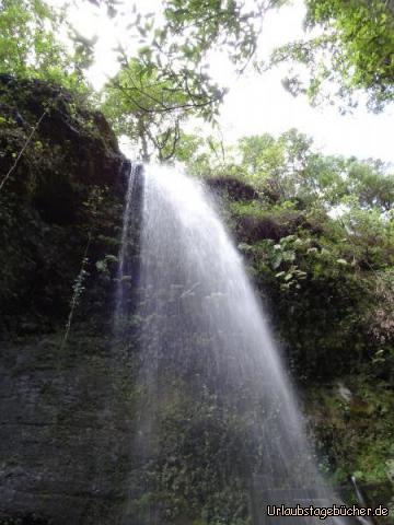 Wasserfall Los Tilos: Wasserfall Los Tilos