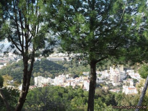 Blick vom Castell auf Malaga: Blick vom Castell auf Malaga