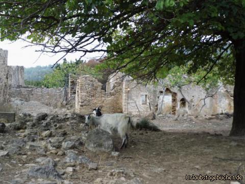 Einwohner der Geisterstadt Agios Dimitris: Einwohner der Geisterstadt Agios Dimitris