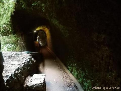 Tunnel Los Tilos: Tunnel Los Tilos