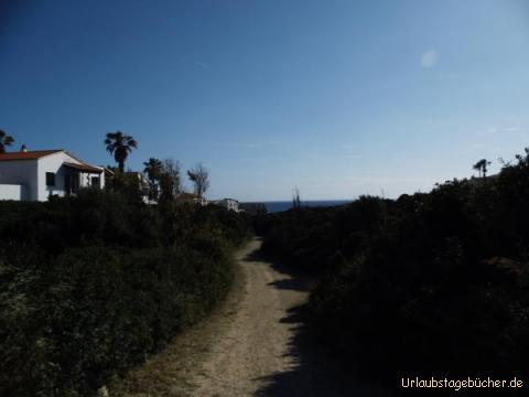 Fußweg zum Strand Cala Forcat: Fußweg zum Strand Cala Forcat