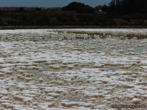 Salzgebilde im Naturschutzgebiet Ria Formosa: Salzgebilde im Naturschutzgebiet Ria Formosa