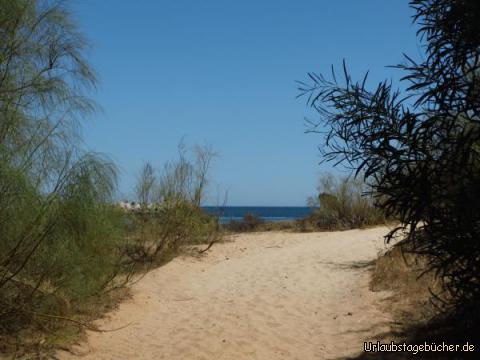 Idyllischer Weg zum Strand von Tavira: Idyllischer Weg zum Strand von Tavira