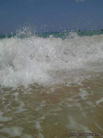 Wellen an der Playa Sotavento: Wellen an der Playa Sotavento
