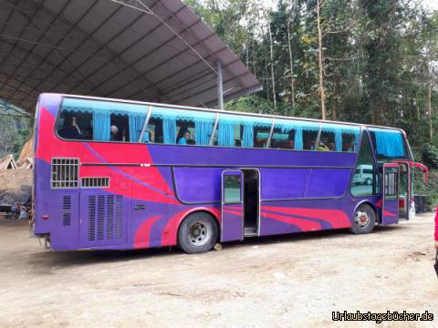 Bus: 