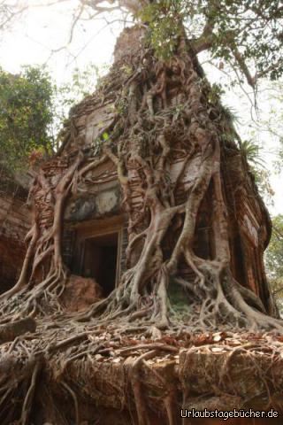 Angkor 4: 