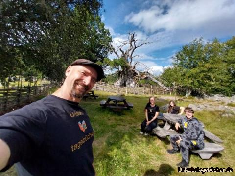 wir vor Kvilleken: hinter uns steht Kvilleken,
die älteste noch lebende Eiche Schwedens,
im Norra kvill Nationalpark