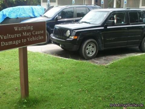 Geierwarnung: unser Jeep auf dem Parkplatz vor dem Royal Palm Visitor Center
im Everglades National Park und neben einem Schild,
welches uns vor Beschädigungen durch Geier warnt