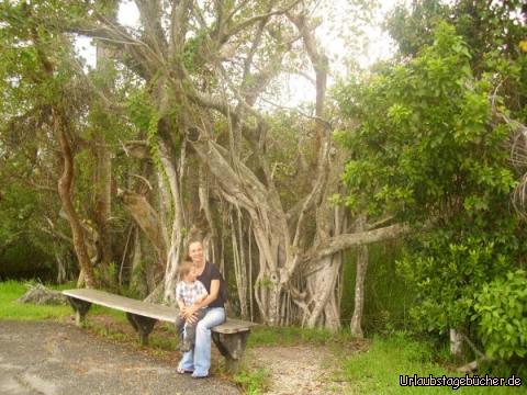 Anhinga Trail: Mama (Katy) mit Viktor auf einer Bank vor einer Mangrove
am Anhinga Trail im Everglades National Park Florida