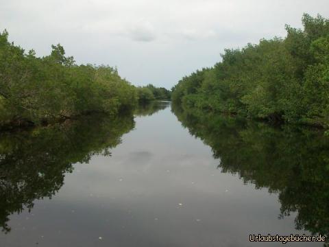 Flamingo Canal: wir fahren auf dem Flamingo Canal vom Flamingo Visitor Center aus
tief in den Everglades National Park hinein