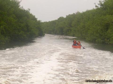 Kanu: eine Kanufahrt ist lustig, besonders im Everglades National Park
und vor allem wenn wir im Motorboot vorbeifahren und hohe Wellen machen :-)