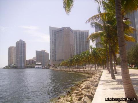 Bayfront Park: Miamis Hochhäuser im Stadtzentrum vom Bayfront Park aus gesehen