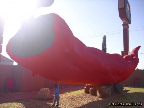 Big Chile: Viktor hebt hier locker einhändig die größte Chilischote der Welt,
direkt vor und namensgebend für das Big Chile Inn in Las Cruces
