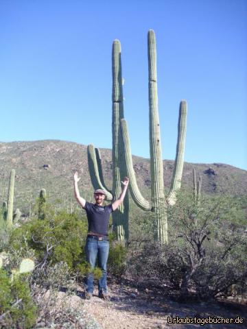Saguaro: wie groß so ein Saguaro genannter "Carnegiea gigantea" überhaupt ist,
sieht man erst, wenn sich Papa (Eno) mal daneben stellt und einen Kaktus imitiert
(und die beiden hier im Saguaro National Park sind bei weitem nicht die größten)