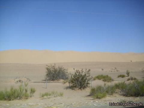 Algodones-Dünen: die Interstate 8 von Yuma nach San Diego
führt nicht nur entlang der Mexikanischen Grenze,
sonder auch mitten durch das Sanddünenfeld der Algodones-Dünen,
die ein Teil der Colorado-Wüste sind, die wiederum Teil der Sonora-Wüste ist