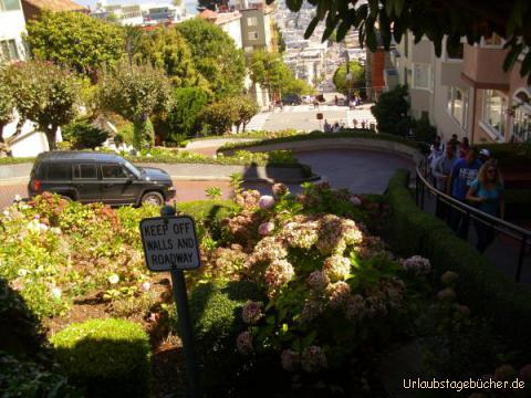 Lombard Street: wir fahren mit unserem Jeep mehrmals die Lombard Street in San Francisco hinab,
die mit einem Gefälle von 27% auf einer Distanz von 145 Metern 8 Kurven besitzt
und deshalb als die "kurvenreichste Straße der Welt" bezeichnet wird