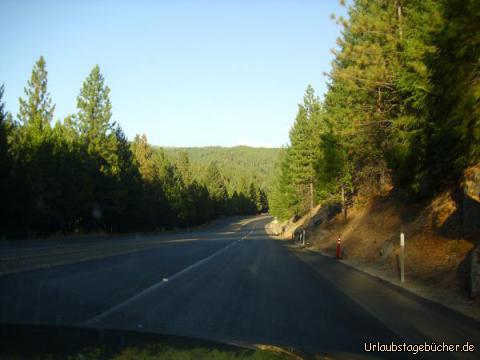 Eldorado National Forest: mit dem wunderschönen Eldorado National Forest
erreichen wir die Sierra Nevada
