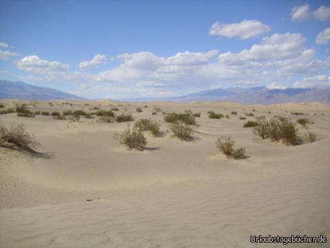 Mesquite Sand Dunes: wir halten mehrmals an den beeindruckenden Mesquite Sand Dunes im Death Valley,
die eine Fläche von 4km² bedecken und deren höchste Düne rund 50m hoch ist