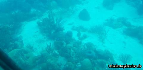 unter Wasser: 