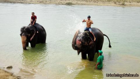 Elefantenbaden: Elefantenbaden