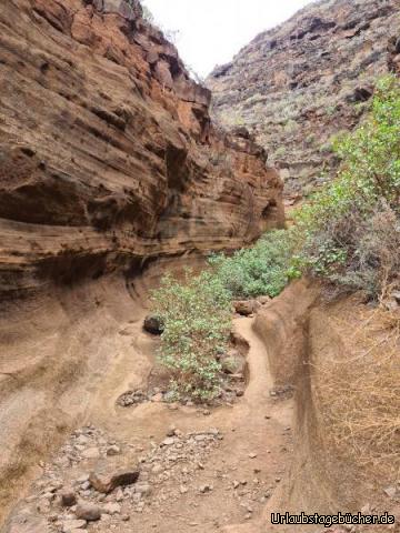Canyon : Canyon