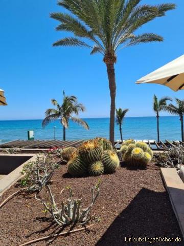 Blick von der Poolterrasse auf das Meer: Blick von der Poolterrasse auf das Meer