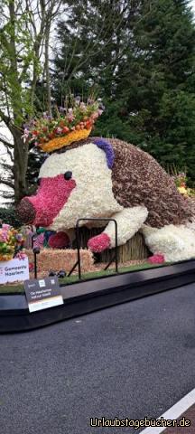 Igel: Igel