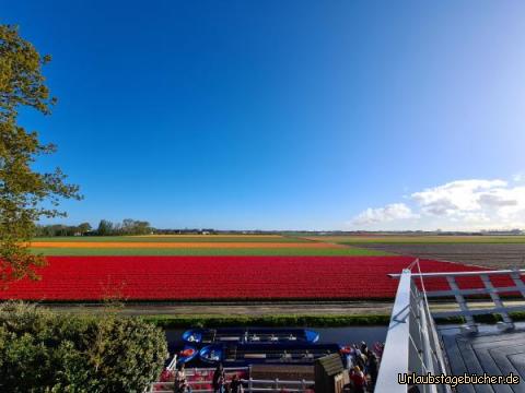 Blumenzwiebelfelder: Blumenzwiebelfelder