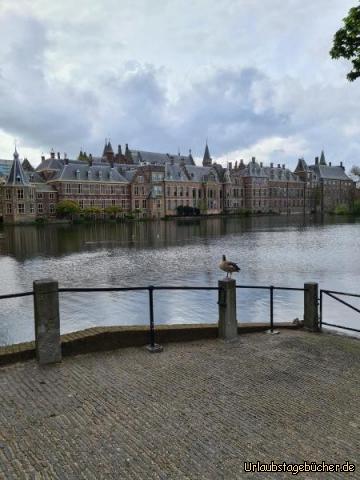 Binnenhof: Binnenhof