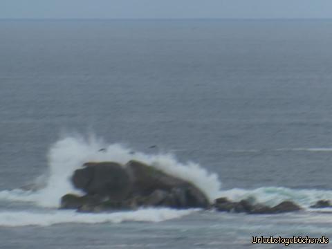 Welle an der Pazifikküste : 