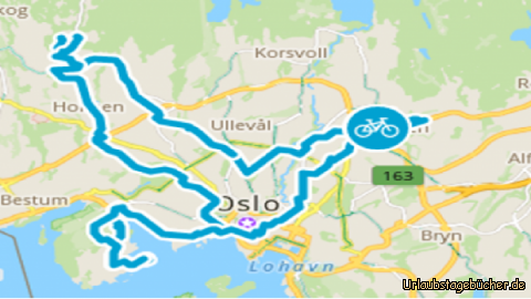 4. Tag: 4. Tag  48 KM mit Rad durch Oslo.