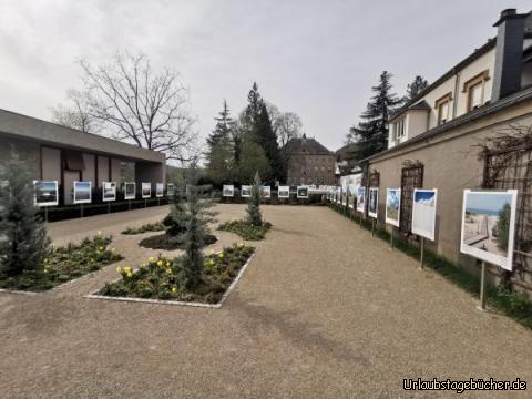 Grenzansichten im Museumsgarten : Grenzansichten im Museumsgarten 