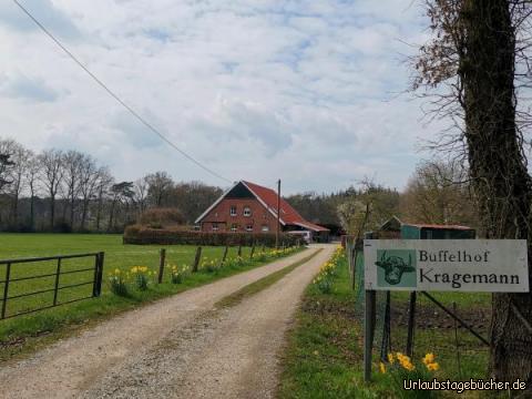 Büffelhof : Landvergnügen auf dem Büffelhof Kragemann 