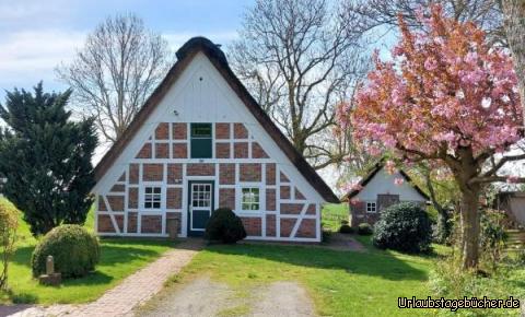 Typisches Dorfhaus : Typisches Haus der Dörfer hier an der Elbe 